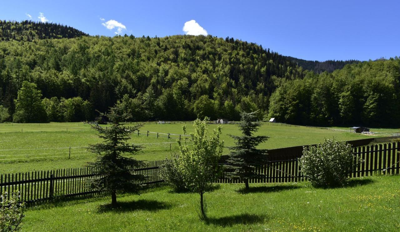 Apartament Rojka Zakopane Exterior foto